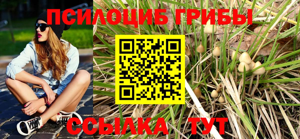 Галлюциногенные грибы Magic Shrooms  Вход с VPN  Новороссийск  Псилоцибиновые грибы Psilocybe 